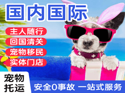 扬州泰州机场空运国际宠物托运 【国